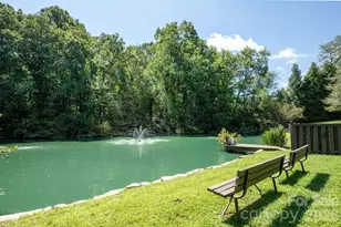 20 Spring Lake Dr, Mills River, NC 28759 - Photo 39