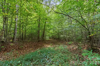 Tbd Pond Road, Spruce Pine, NC 28777 - Photo 5