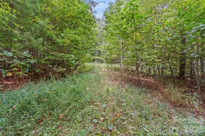 Tbd Pond Road, Spruce Pine, NC 28777 - Photo 3