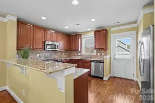 13913 Helen Benson Blvd, Davidson, NC 28036 - Photo 9
