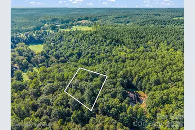 000 Rambling Creek Road, Tryon, NC 28782 - Photo 3