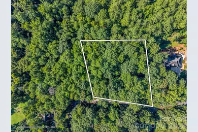 000 Rambling Creek Road, Tryon, NC 28782 - Photo 1