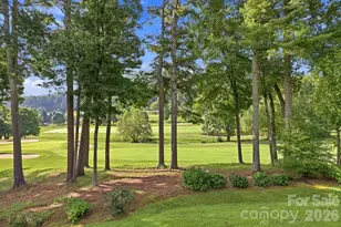 155 Winding Meadows Dr, Flat Rock, NC 28731 - Photo 39