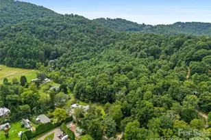 91 Rice Branch Rd, Asheville, NC 28804 - Photo 43