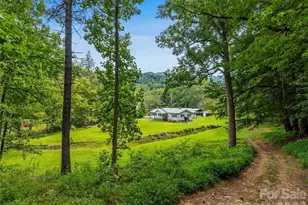 91 Rice Branch Rd, Asheville, NC 28804 - Photo 5