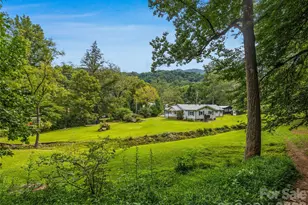 91 Rice Branch Rd, Asheville, NC 28804 - Photo 3