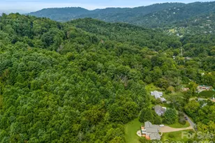 91 Rice Branch Rd, Asheville, NC 28804 - Photo 41