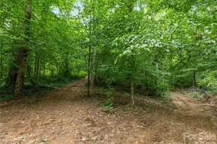 91 Rice Branch Rd, Asheville, NC 28804 - Photo 39