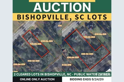 121 S Dennis Avenue, Bishopville, SC 29010 - Photo 1