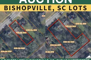 121 S Dennis Ave, Bishopville, SC 29010 - Photo 1
