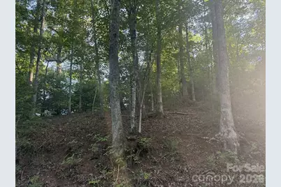 0 Canterbury Road, Cullowhee, NC 28723 - Photo 1