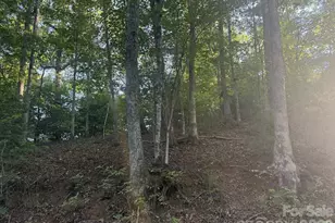 0 Canterbury Rd, Cullowhee, NC 28723 - Photo 1