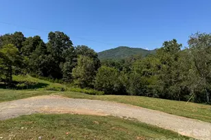 255 Dix Creek N 1 Rd, Leicester, NC 28748 - Photo 13