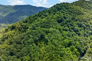 50 Cherokee Ln, Swannanoa, NC 28778 - Photo 29