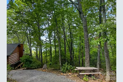 50 Cherokee Lane #3, Swannanoa, NC 28778 - Photo 3