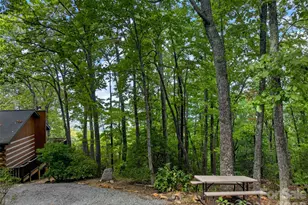 50 Cherokee Ln, Swannanoa, NC 28778 - Photo 3
