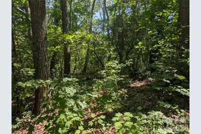 1824 Old Mill Road, Hendersonville, NC 28792 - Photo 1
