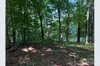 4281 Prices Creek Road, Burnsville, NC 28714 - Photo 21