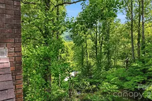 38 Pee Wee Branch Branch, Sylva, NC 28779 - Photo 7