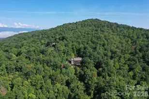 61 Firefly Ln, Pisgah Forest, NC 28768 - Photo 45