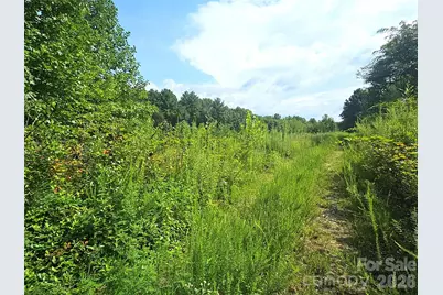522 Buckeye Access Road, Swannanoa, NC 28778 - Photo 45