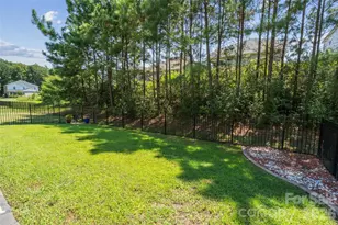 11230 Black Brant Ln, Charlotte, NC 28278 - Photo 25