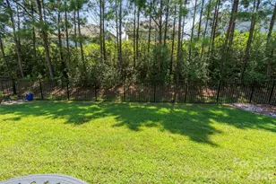 11230 Black Brant Ln, Charlotte, NC 28278 - Photo 23