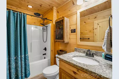 1050 Buffalo Shoals Road, Lake Lure, NC 28746 - Photo 13