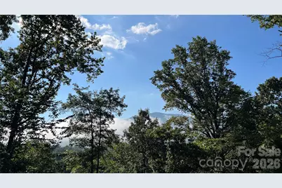 126 Pine Hill Drive, Swannanoa, NC 28778 - Photo 13