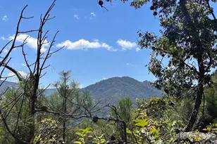 9999 US Hwy 441 Hwy S, Sylva, NC 28779 - Photo 1