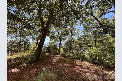 9999 US Hwy 441 Highway S, Sylva, NC 28779 - Photo 5