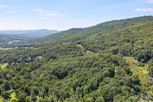 81 Spring Mountain Rd, Fairview, NC 28730 - Photo 37