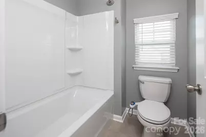 15625 White Quartz Lane, Davidson, NC 28036 - Photo 27