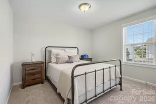 8719 Hallowford Dr, Huntersville, NC 28078 - Photo 33
