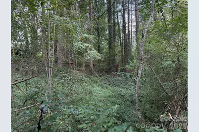 Off Meadowbrook Circle, Brevard, NC 28712 - Photo 11