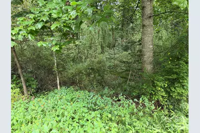 Off Meadowbrook Circle, Brevard, NC 28712 - Photo 3