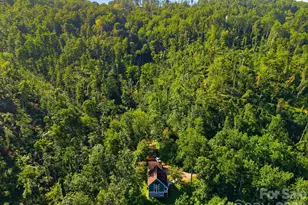 270 Upper Herron Cove Rd, Weaverville, NC 28787 - Photo 41