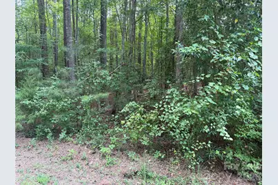 0 Blackwell Street, Mount Gilead, NC 27306 - Photo 5