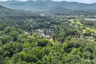 39 Village Overlook Loop, Swannanoa, NC 28778 - Photo 37
