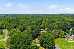 9319 Old Gold Mine Ct, Mint Hill, NC 28227 - Photo 47