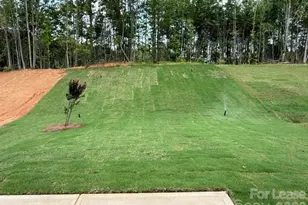 152 Spotted Wy, Troutman, NC 28166 - Photo 23