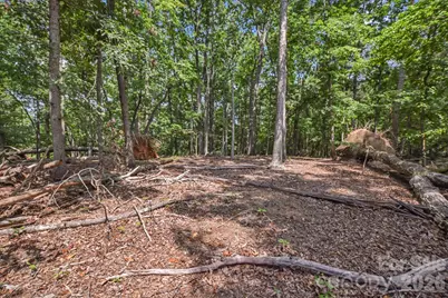 99999 Lail Road, Rutherfordton, NC 28139 - Photo 9
