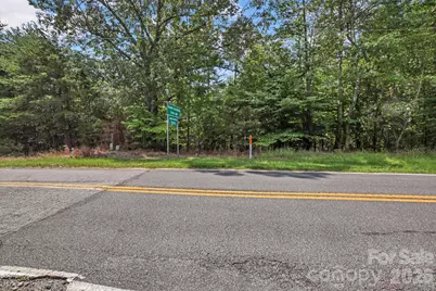99999 Lail Road, Rutherfordton, NC 28139 - Photo 3