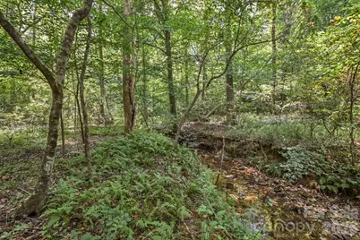 99999 Lail Road, Rutherfordton, NC 28139 - Photo 11
