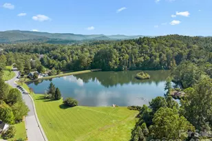 1001 Stone Dr, Brevard, NC 28712 - Photo 47