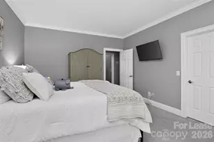 18928 Peninsula Point Dr, Cornelius, NC 28031 - Photo 29