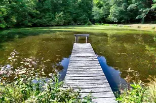 1950 Daisy Couch Rd, Lancaster, SC 29058 - Photo 37