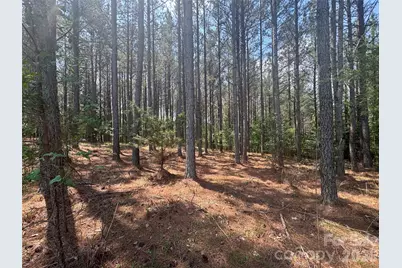 105 Stoney Brook Trail, Mooresboro, NC 28114 - Photo 9