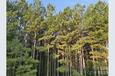 105 Stoney Brook Trail, Mooresboro, NC 28114 - Photo 3