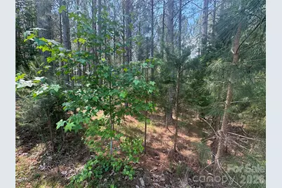 105 Stoney Brook Trail, Mooresboro, NC 28114 - Photo 11